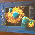 Cover Art for 9780697013729, Microbiology by Lansing Prescott