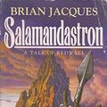 Cover Art for 9780099143611, Salamandastron (Red Fox older fiction) by Brian Jacques