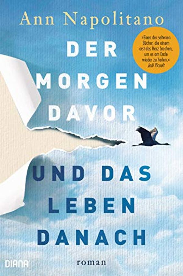 Cover Art for B086VCVDQD, Der Morgen davor und das Leben danach: Roman (German Edition) by Ann Napolitano
