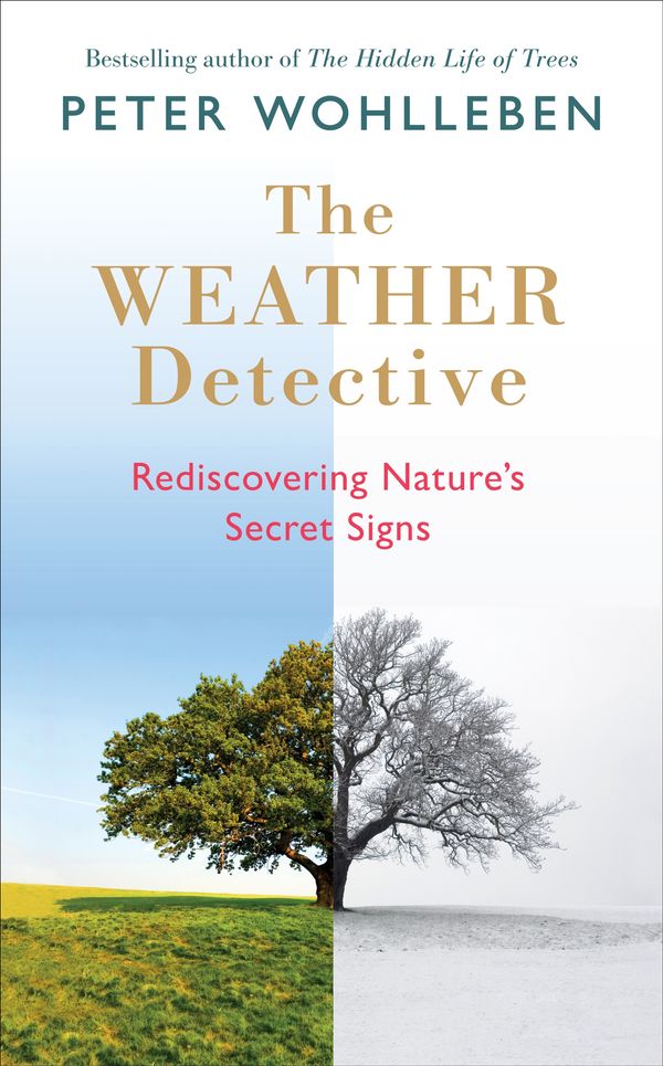 Cover Art for 9781846045783, The Weather Watcher: Reading nature’s secret signs by Peter Wohlleben