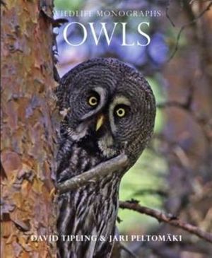 Cover Art for 9781901268621, Owls by David Tipling
