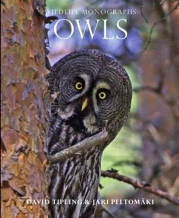 Cover Art for 9781901268621, Owls by David Tipling