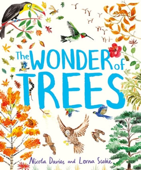 Cover Art for 9781444938210, The Wonder of Trees by Nicola Davies, Lorna Scobie