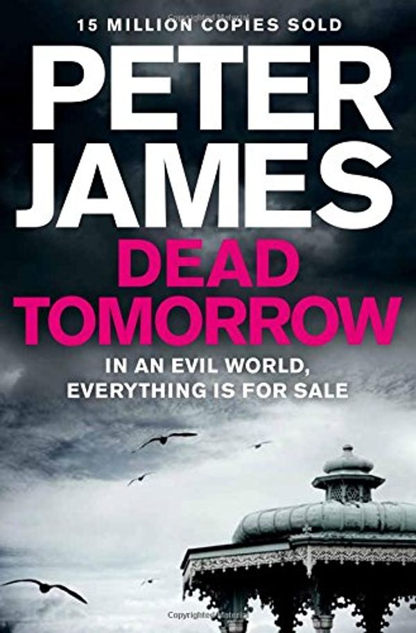 Cover Art for 9780230706866, Dead Tomorrow by Peter James