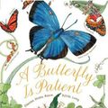 Cover Art for 9780811864794, Butterfly Is Patient by Dianna Hutts Aston