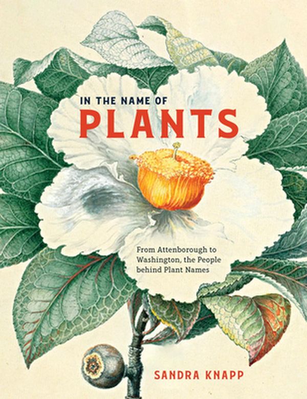 Cover Art for 9780226824307, In the Name of Plants: From Attenborough to Washington, the People behind Plant Names by Sandra Knapp