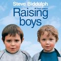 Cover Art for 9780008242718, Raising Boys by Steve Biddulph