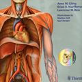 Cover Art for 9781604060621, Atlas of Anatomy by Anne M. Gilroy, Lawrence M. Ross, Brian R. MacPherson, Michael Schuenke, Erik Schulte, Udo Schumacher