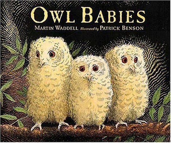 Cover Art for 9781564029652, Owl Babies by Martin Waddell