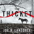 Cover Art for 9781444736915, The Thicket by Joe R. Lansdale