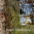 Cover Art for 9781876334796, A Field Guide to Australian Trees by Ivan Holliday