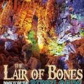 Cover Art for 9781441753113, The Lair of Bones by David Farland