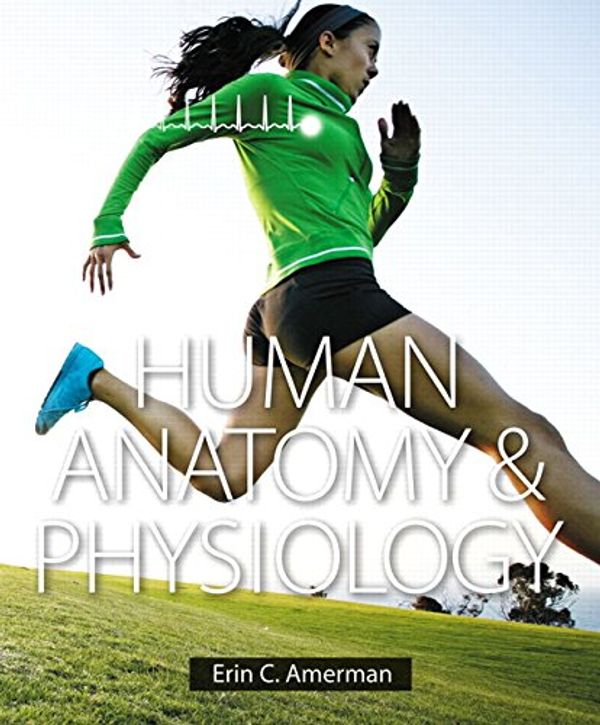 Cover Art for 9780805382952, Human Anatomy & Physiology by Erin C. Amerman, Tallackson