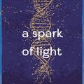Cover Art for 9781760877453, A Spark of Light by Jodi Picoult
