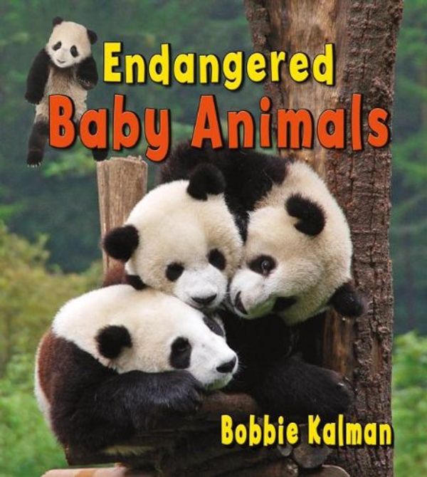 Cover Art for 9780778740810, Endangered Baby Animals (It's Fun to Learn About Baby Animals) by Bobbie Kalman