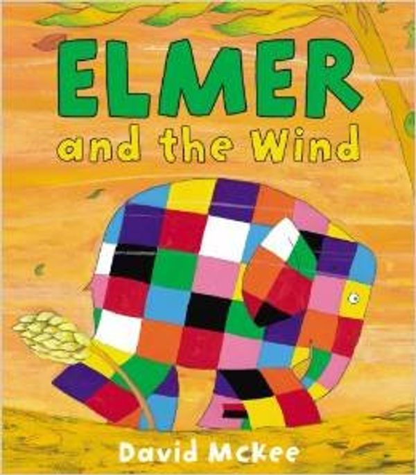 Cover Art for 9781849395472, Elmer and the Wind by David McKee