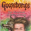 Cover Art for 9780590558280, The Werewolf of Fever Swamp by R. L. Stine