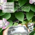 Cover Art for 0025986234973, The Magician's Nephew by C. S. Lewis