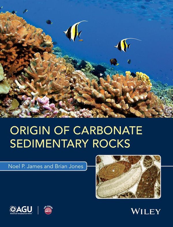 Cover Art for 9781118652671, Origin of Carbonate Sedimentary Rocks by Brian Jones, Noel P. James