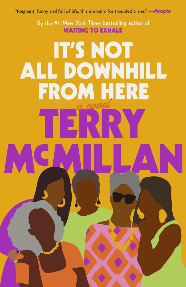 Cover Art for 9781984823755, It's Not All Downhill From Here by Terry McMillan