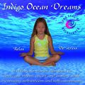 Cover Art for 9780970863362, Indigo Ocean Dreams by Lori Lite