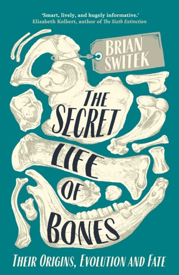 Cover Art for 9780715653807, The Secret Life of Bones: Their Origins, Evolution and Fate by Brian Switek