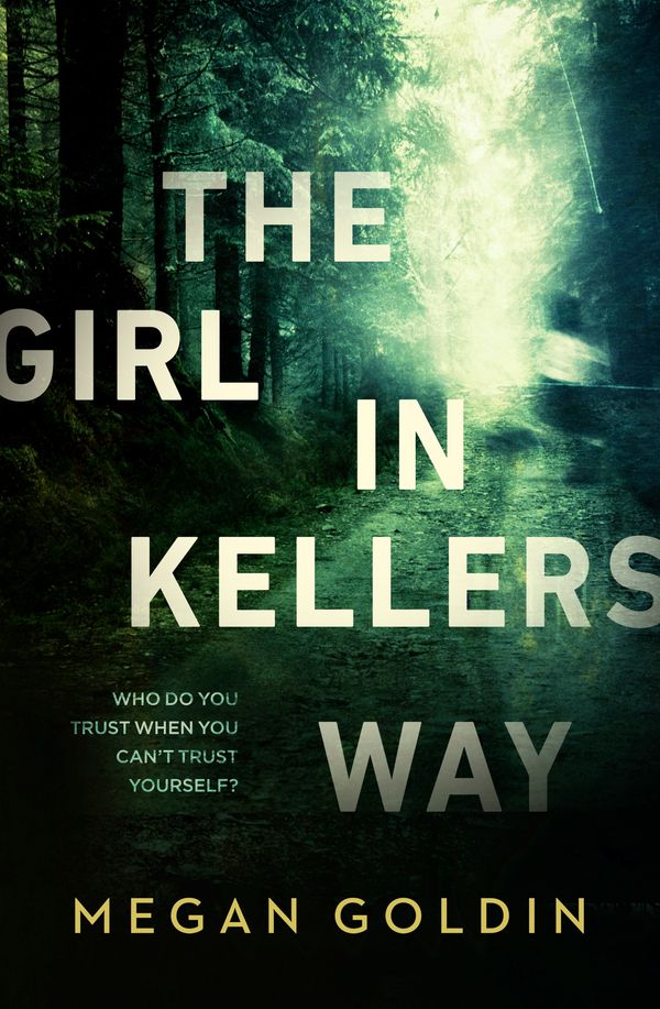 Cover Art for 9781760143619, The Girl in Kellers Way by Megan Goldin