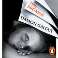 Cover Art for B08X12JSDD, The Promise by Damon Galgut