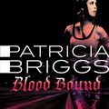 Cover Art for 9781405534093, Blood Bound by Patricia Briggs