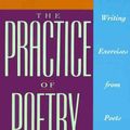 Cover Art for 9780062730244, The Practice of Poetry by Robin Behn