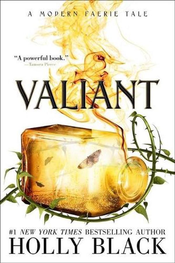 Cover Art for 9781534484528, Valiant: A Modern Faerie Tale by Holly Black