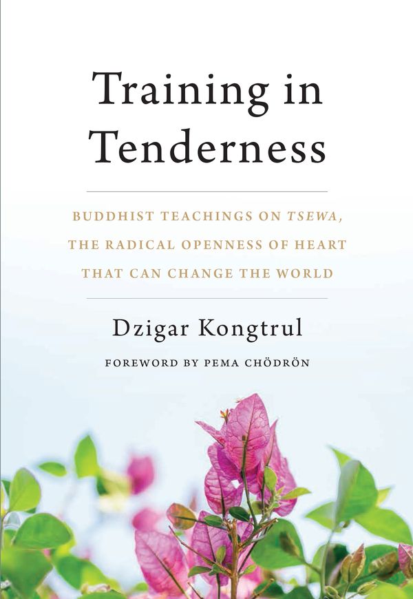 Cover Art for 9781611805581, Training in Tenderness: Buddhist Teachings on Tsewa, the Openness of Heart That Can Change the World by Dzigar Kongtrul