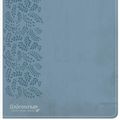 Cover Art for 9781462785056, CSB (In)Courage Devotional Bible, Blue Leathertouch by In Courage