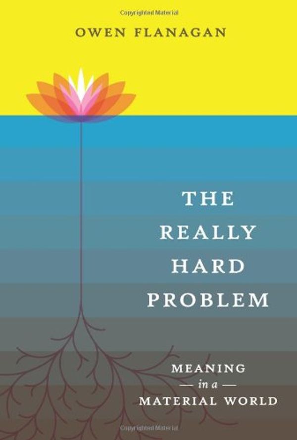 Cover Art for 9780262062640, The Really Hard Problem : Meaning in a Material World by Owen Flanagan