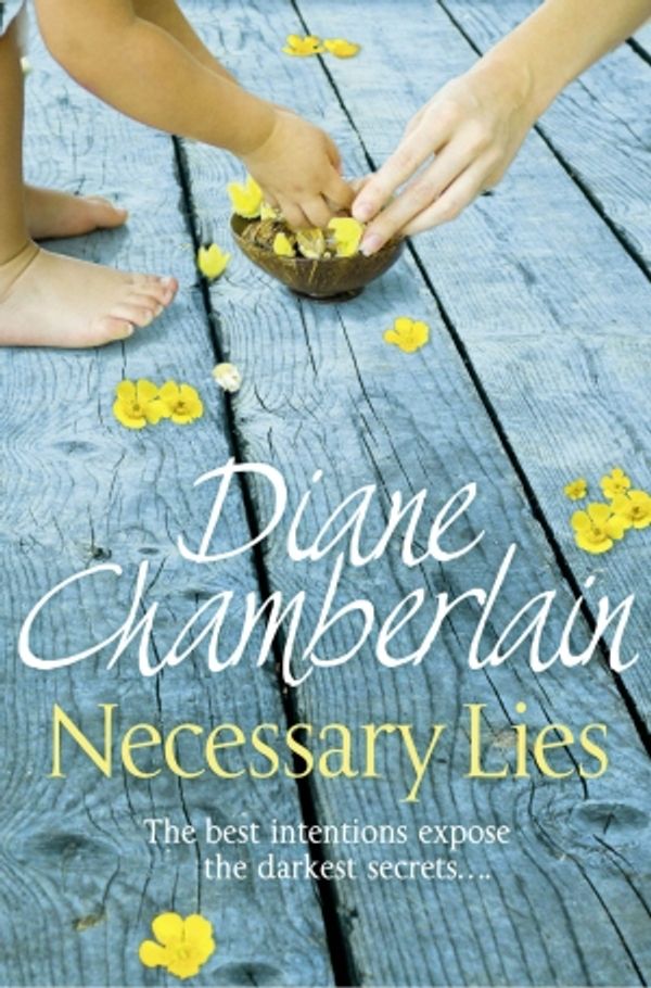 Cover Art for 9781447231783, Necessary Lies by Diane Chamberlain
