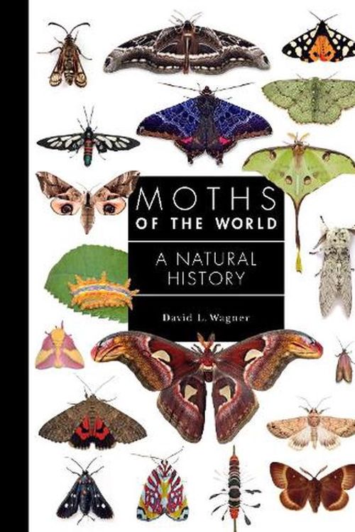 Cover Art for 9780691248288, Moths of the World by David Wagner