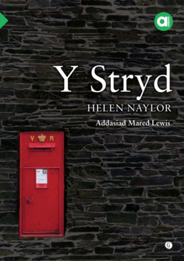 Cover Art for 9781785622397, Cyfres Amdani: Stryd, Y by Helen Naylor