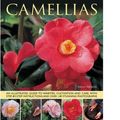 Cover Art for 9781780193137, Camellias by Andrew Mikolajskj