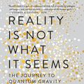 Cover Art for 9780735213944, Reality Is Not What It Seems by Carlo Rovelli