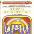 Cover Art for 9780553244847, Journey to Stonehenge (Choose Your Own Adventure) by Fred Graver
