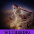 Cover Art for 9781986073097, Wuthering Heights by Emily Bronte, Owen Smit