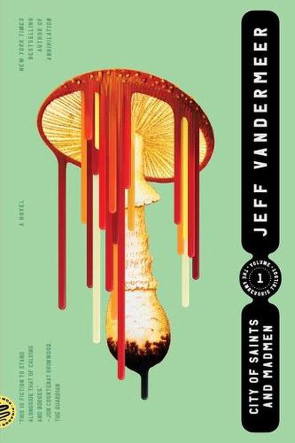 Cover Art for 9780374538606, City of Saints and Madmen by Jeff VanderMeer