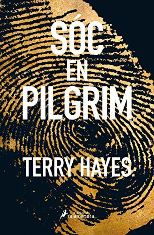 Cover Art for 9788416310159, Sóc en Pilgrim by Terry Hayes