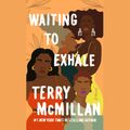 Cover Art for 9781598877182, Waiting to Exhale by Terry McMillan