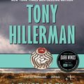 Cover Art for 9780061983825, A Thief of Time by Tony Hillerman