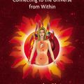 Cover Art for 9781594779053, The Alchemy of Sexual Energy by Mantak Chia