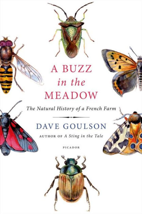 Cover Art for 9781250065889, A Buzz in the Meadow: A British Naturalist in Rural France by Dave Goulson