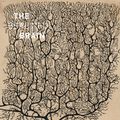 Cover Art for 9781419722271, The Beautiful BrainThe Drawings of Ramon y Cajal by Larry Swanson