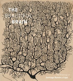Cover Art for 9781419722271, The Beautiful BrainThe Drawings of Ramon y Cajal by Larry Swanson