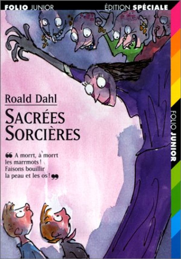 Cover Art for 9782070544288, Sacrées sorcières by Roald Dahl